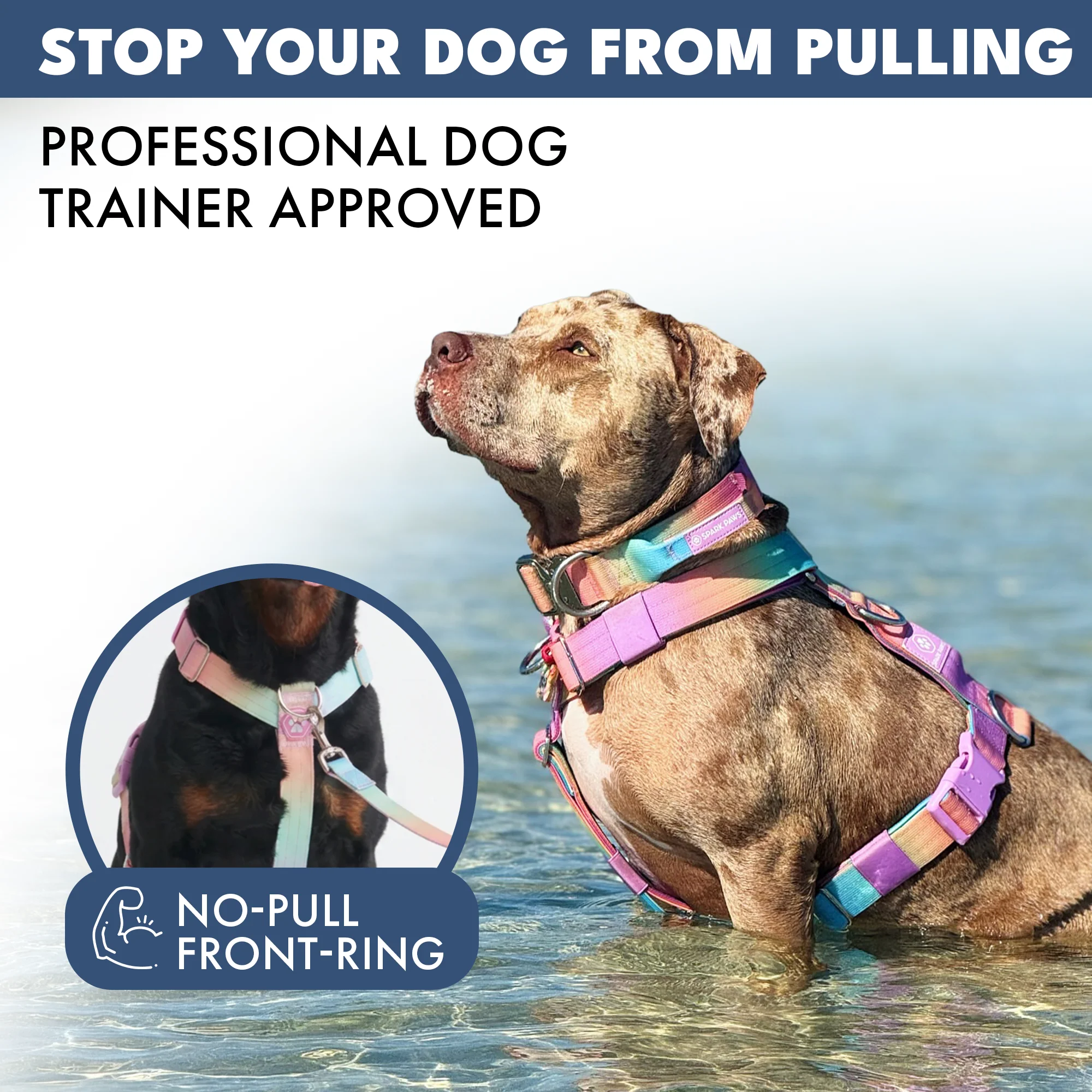 Comfort Control No-Pull Dog Harness - Pastel Icing - Image 3