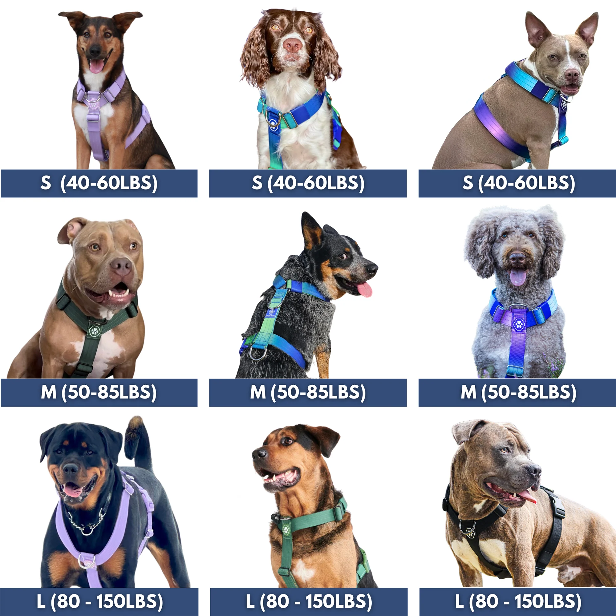 Comfort Control No-Pull Dog Harness - Pastel Icing - Image 6