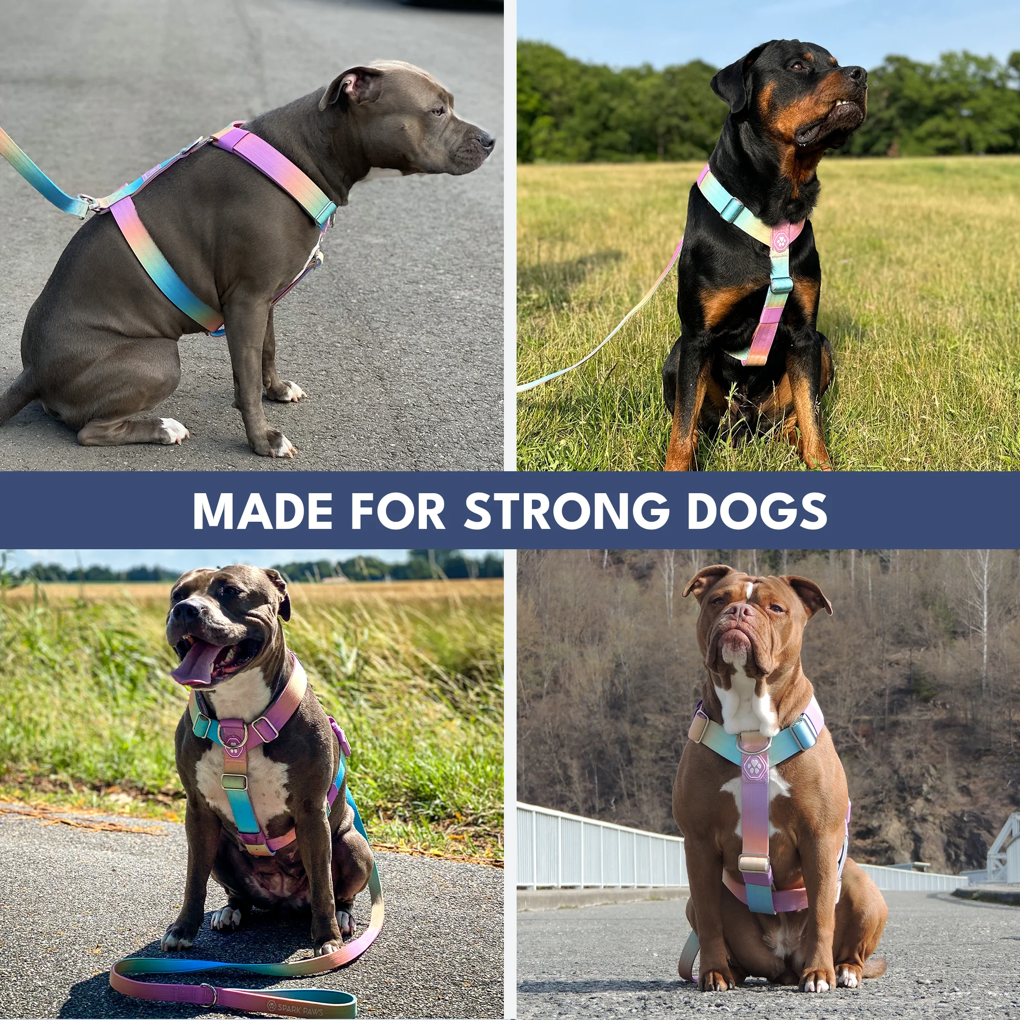 Comfort Control No-Pull Dog Harness - Pastel Icing - Image 7