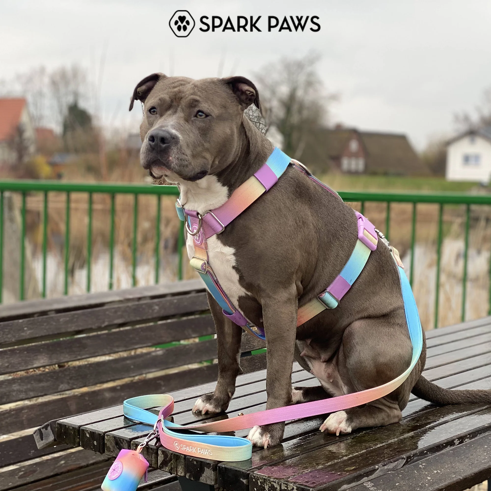 Comfort Control No-Pull Dog Harness - Pastel Icing - Image 8
