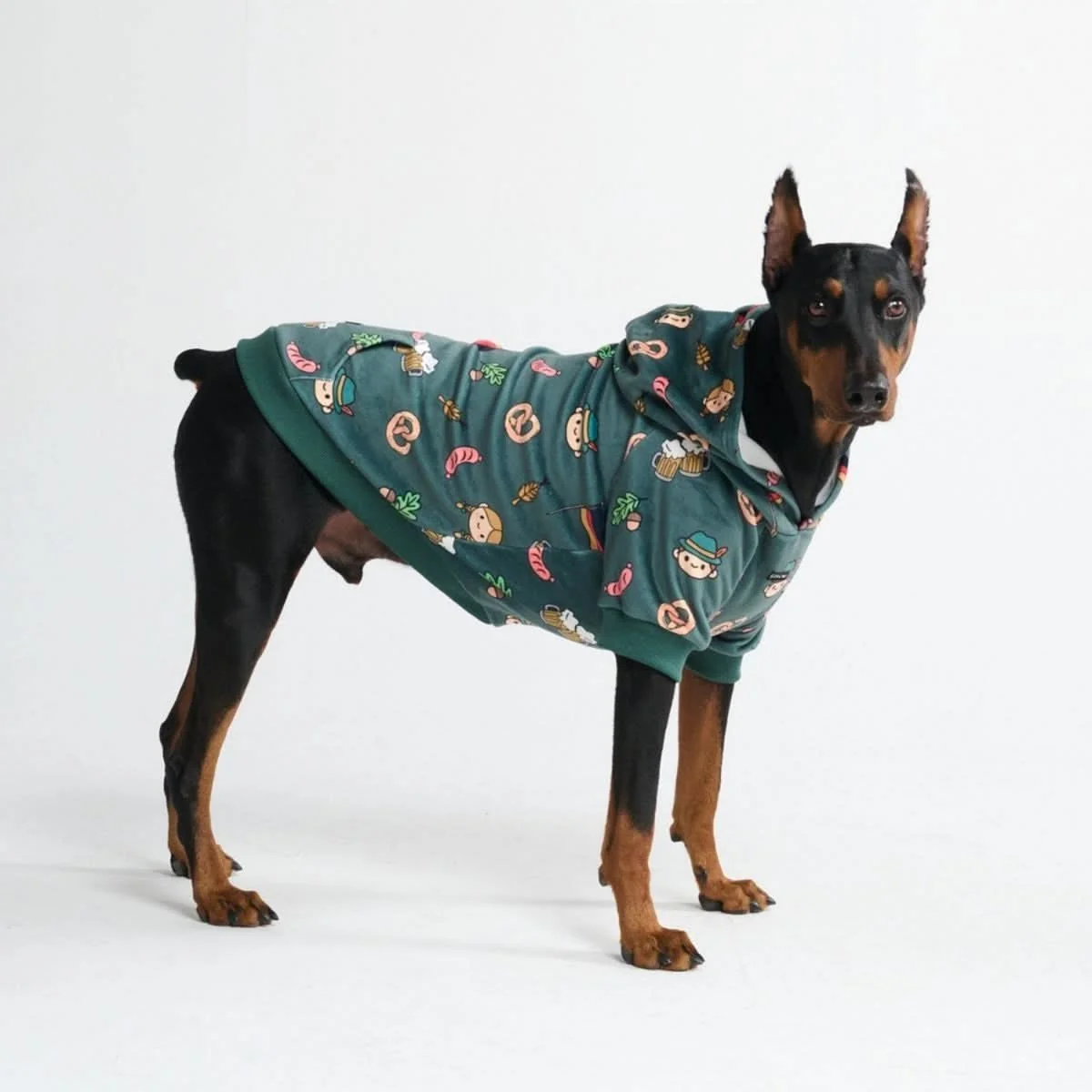 Around the World Dog Hoodies - Image 48