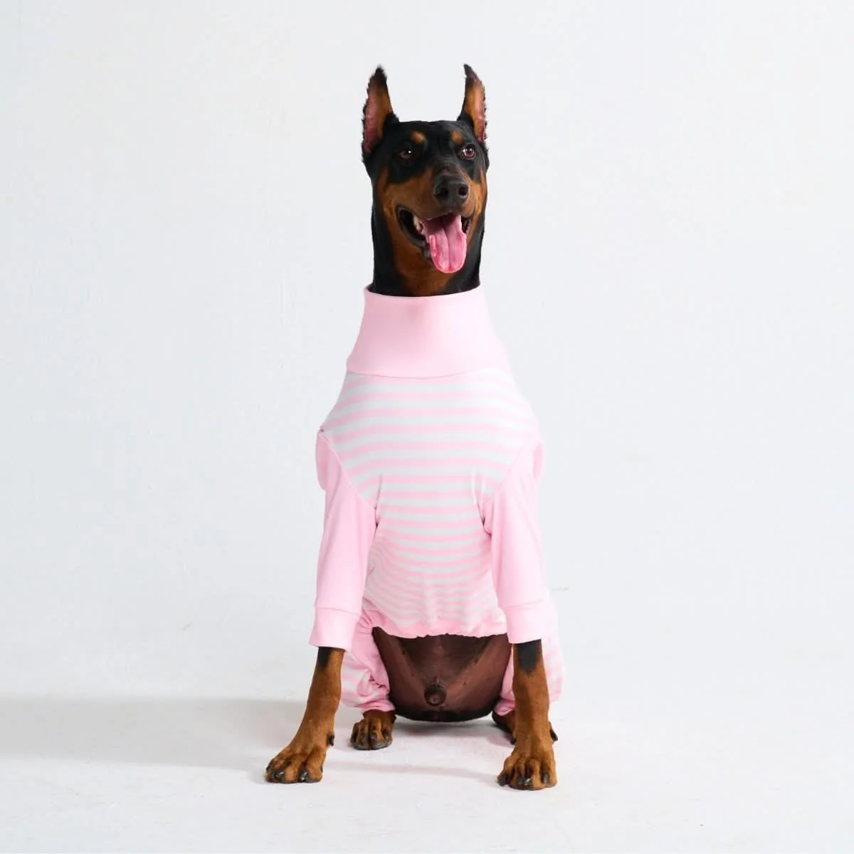 Dog Pajama - Pink Stripes - Image 5