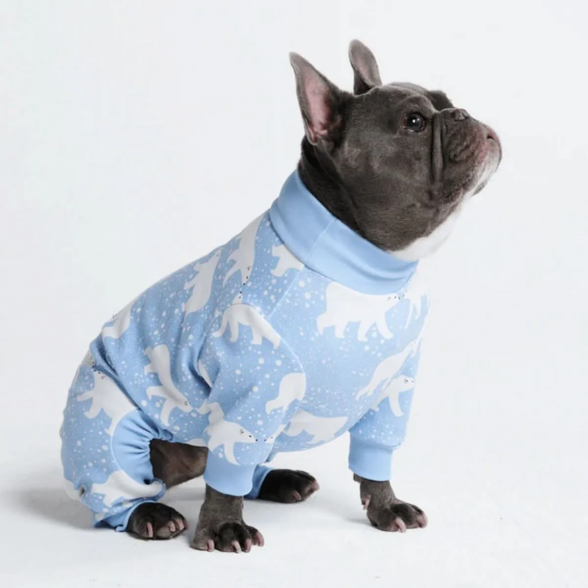 Dog Pajama Prints - Image 48