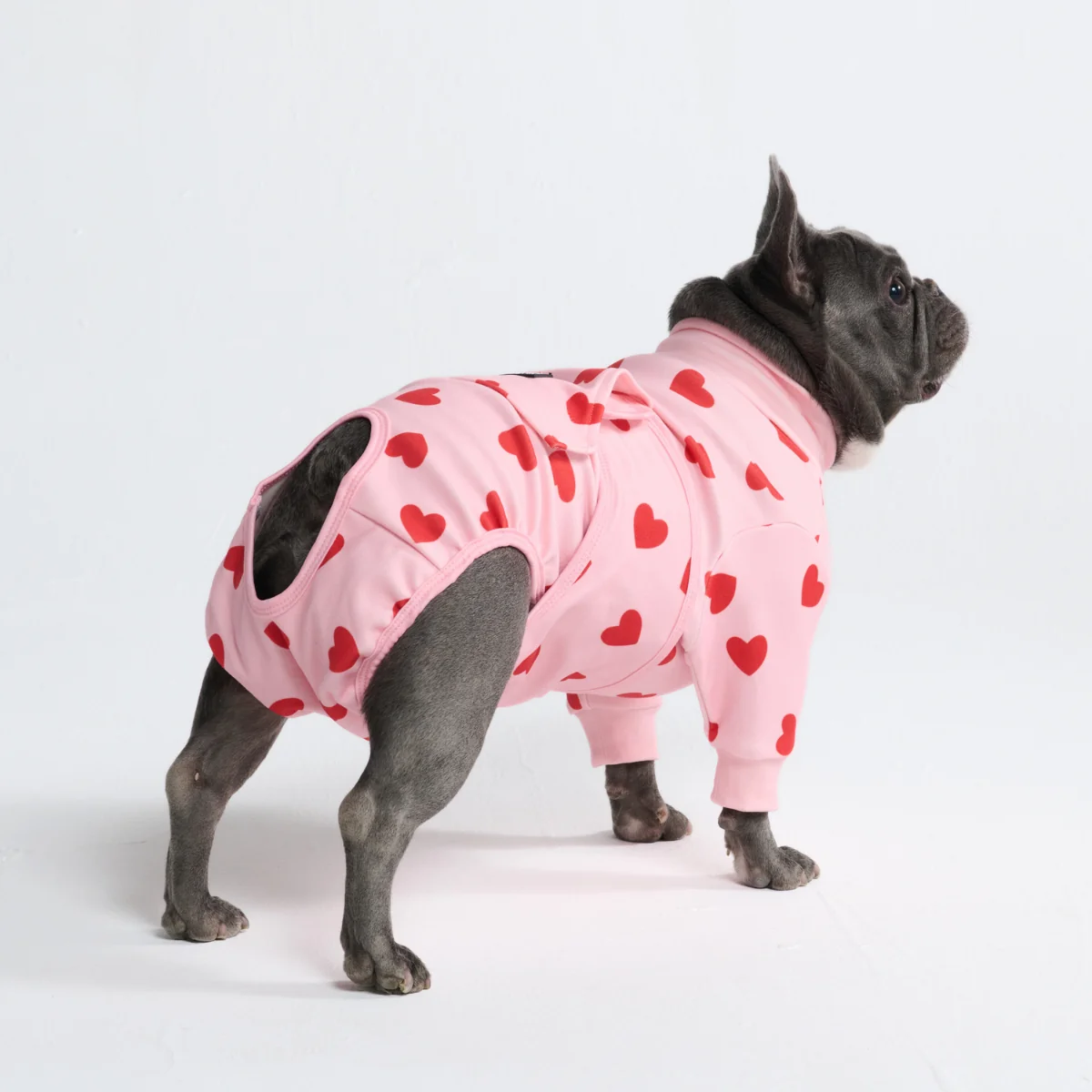 Dog Surgical Suit - Pink Hearts - Image 10