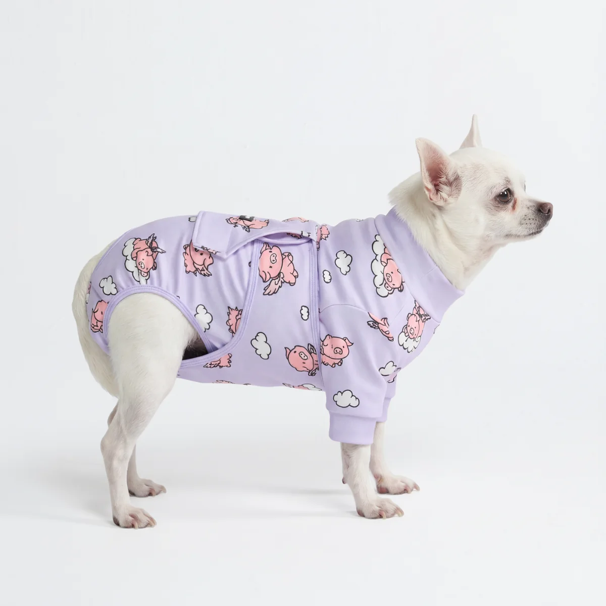 Dog Surgical Suit - When Pigs Fly - Image 3