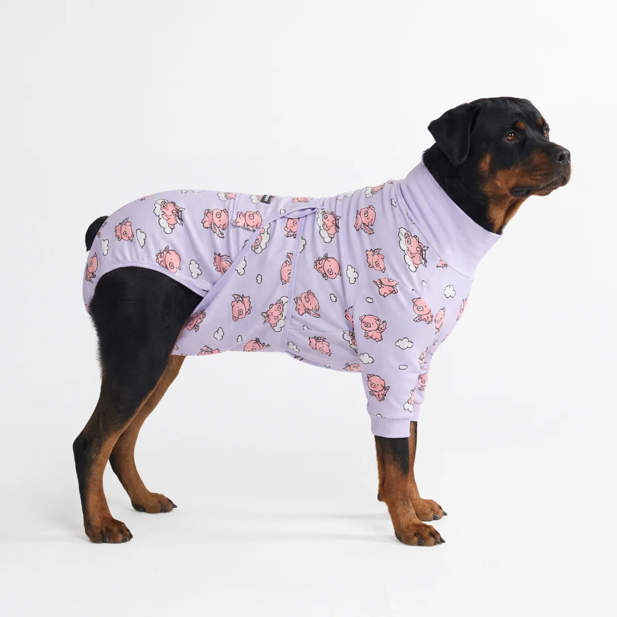 Dog Surgical Suit - When Pigs Fly - Image 6