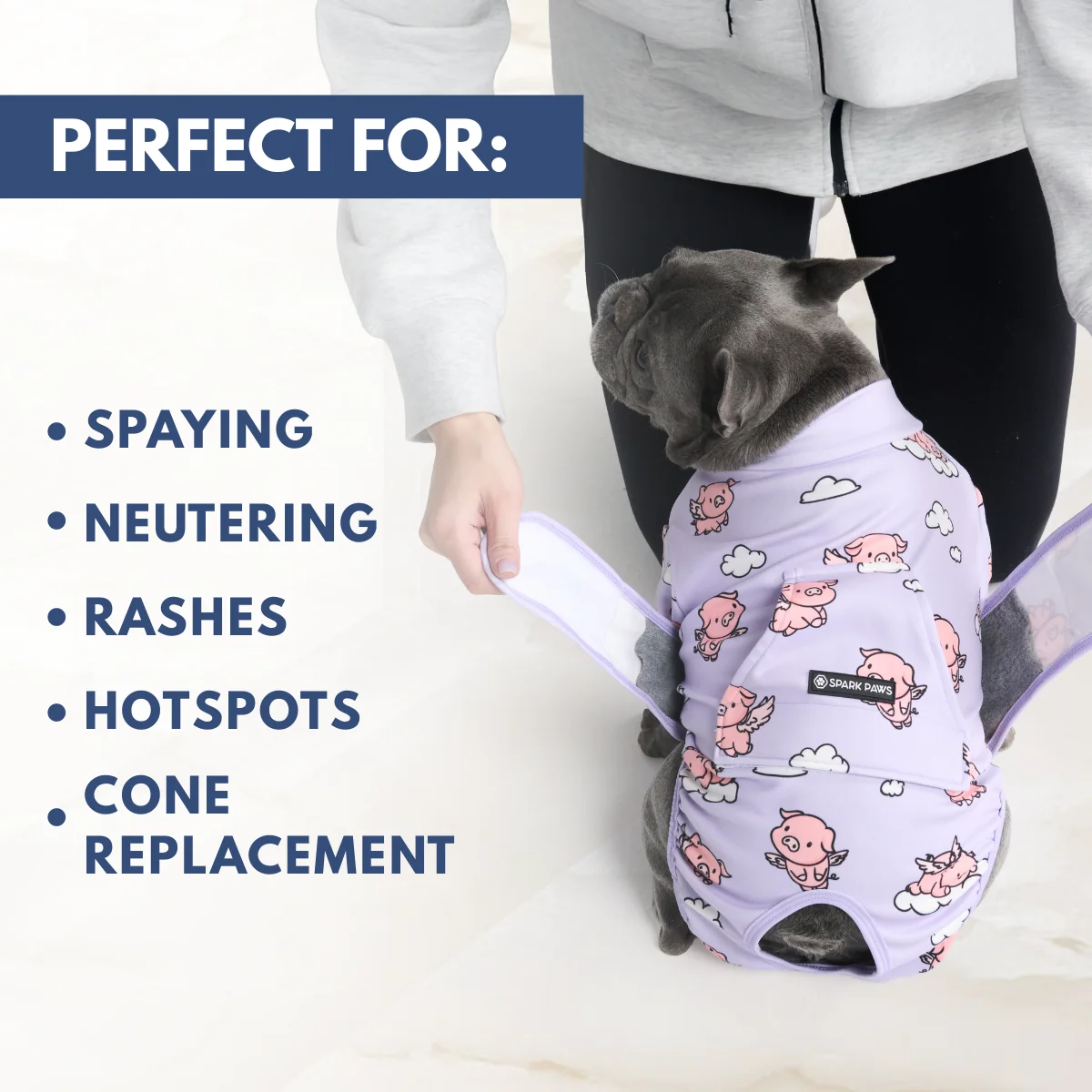 Dog Surgical Suit - When Pigs Fly - Image 7