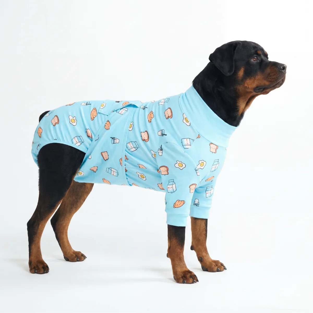 Dog Surgical Suit - Breakfast Blue - Image 6