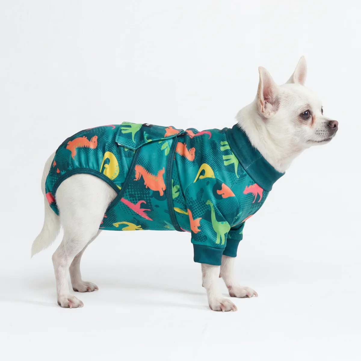 Dog Surgical Suit - Dinosaurs - Image 3