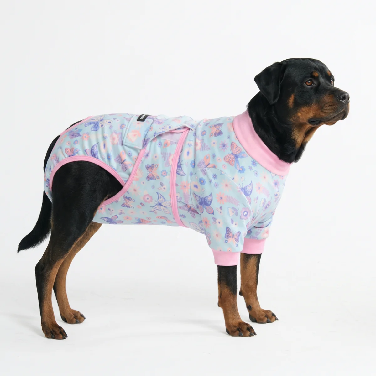 Dog Surgical Suit - Butterfly - Image 6