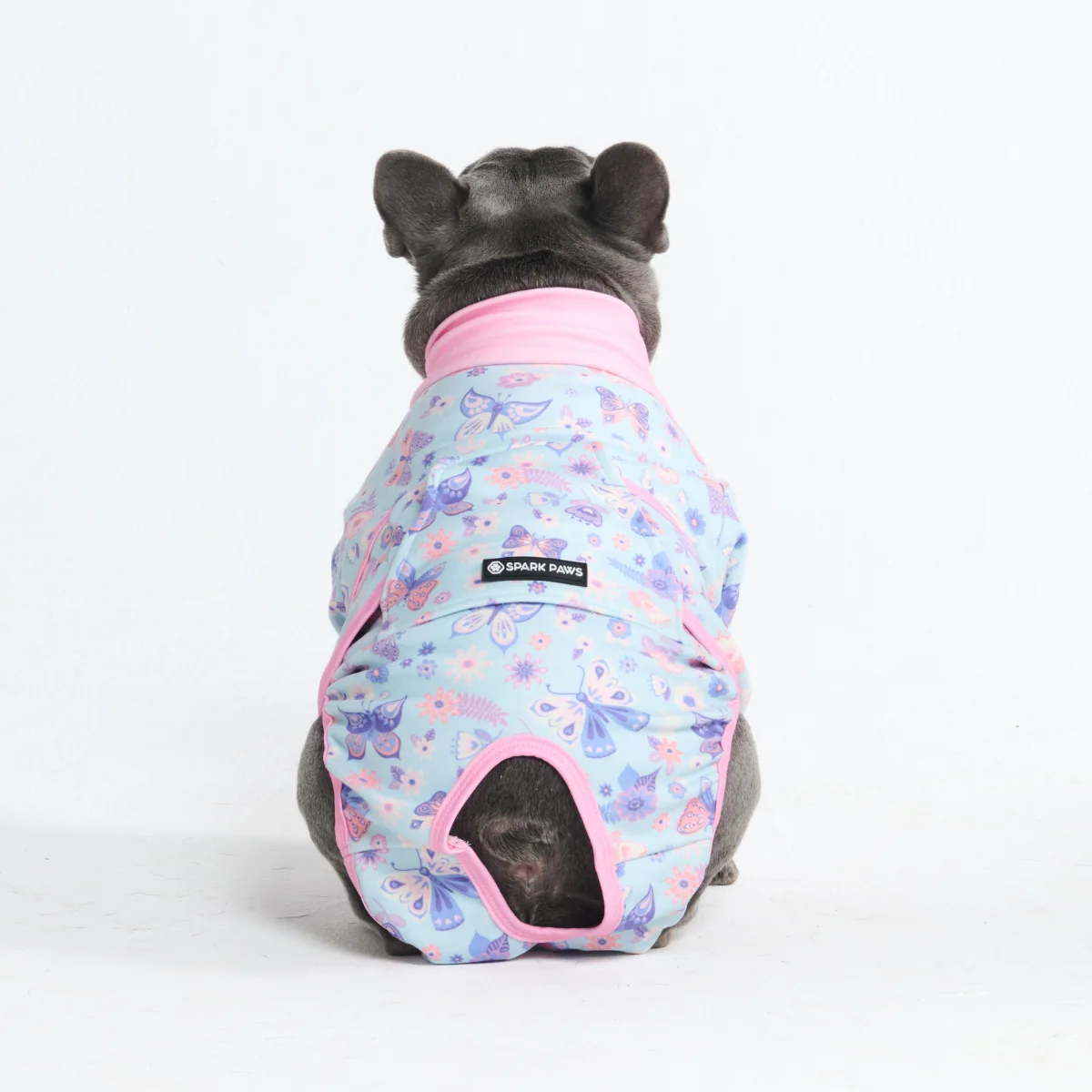 Dog Surgical Suit - Butterfly - Image 12