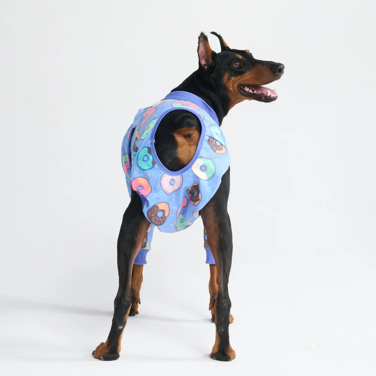 Dog Surgical Suit 2-pack - Image 36