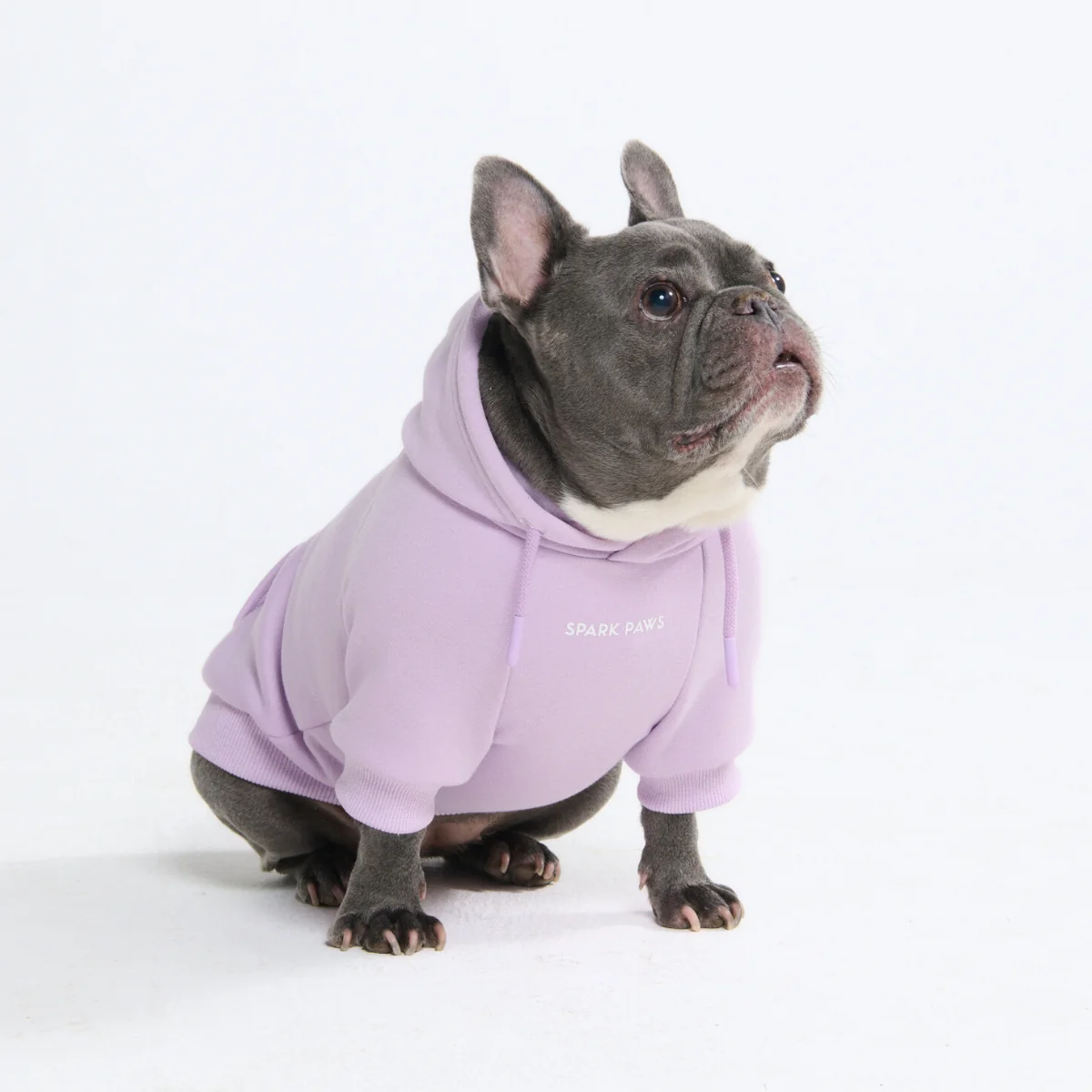 Essential Dog Hoodies - Image 21