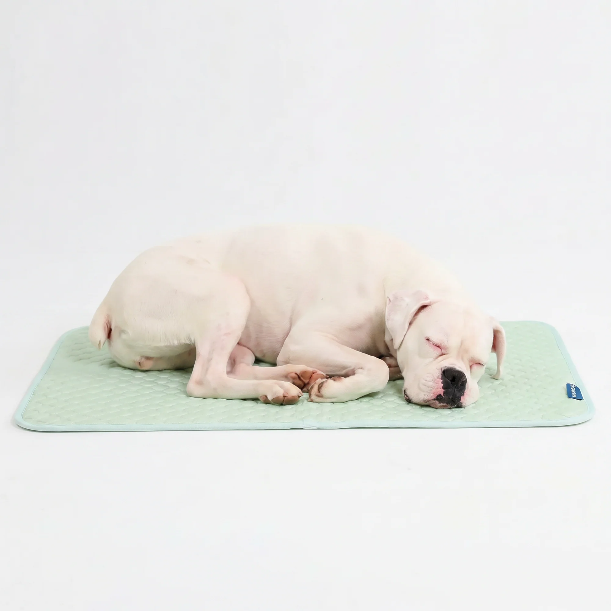 Frostcore™ Cooling Mat - Orb Green - Image 5