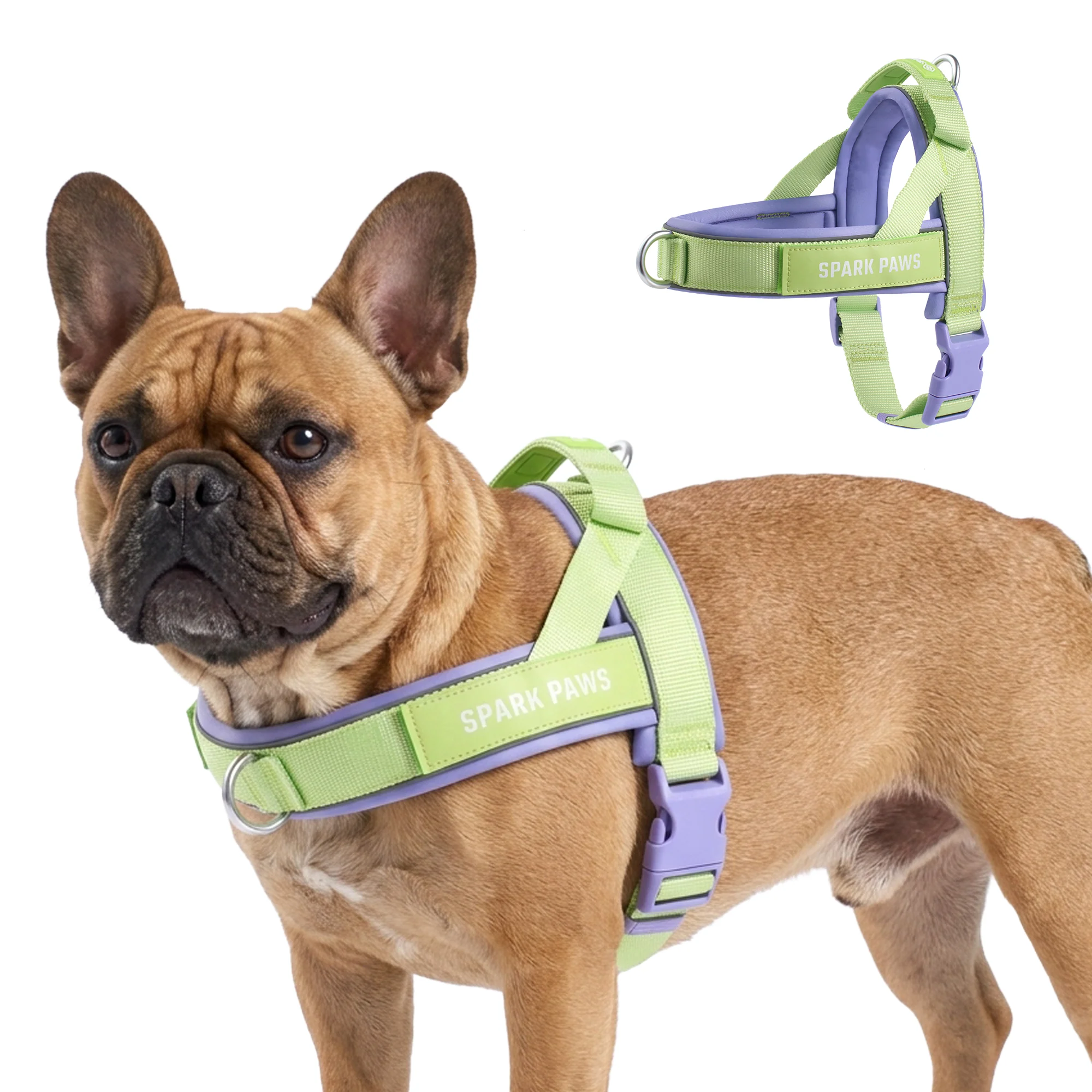 Grab & Go Harness - Image 134