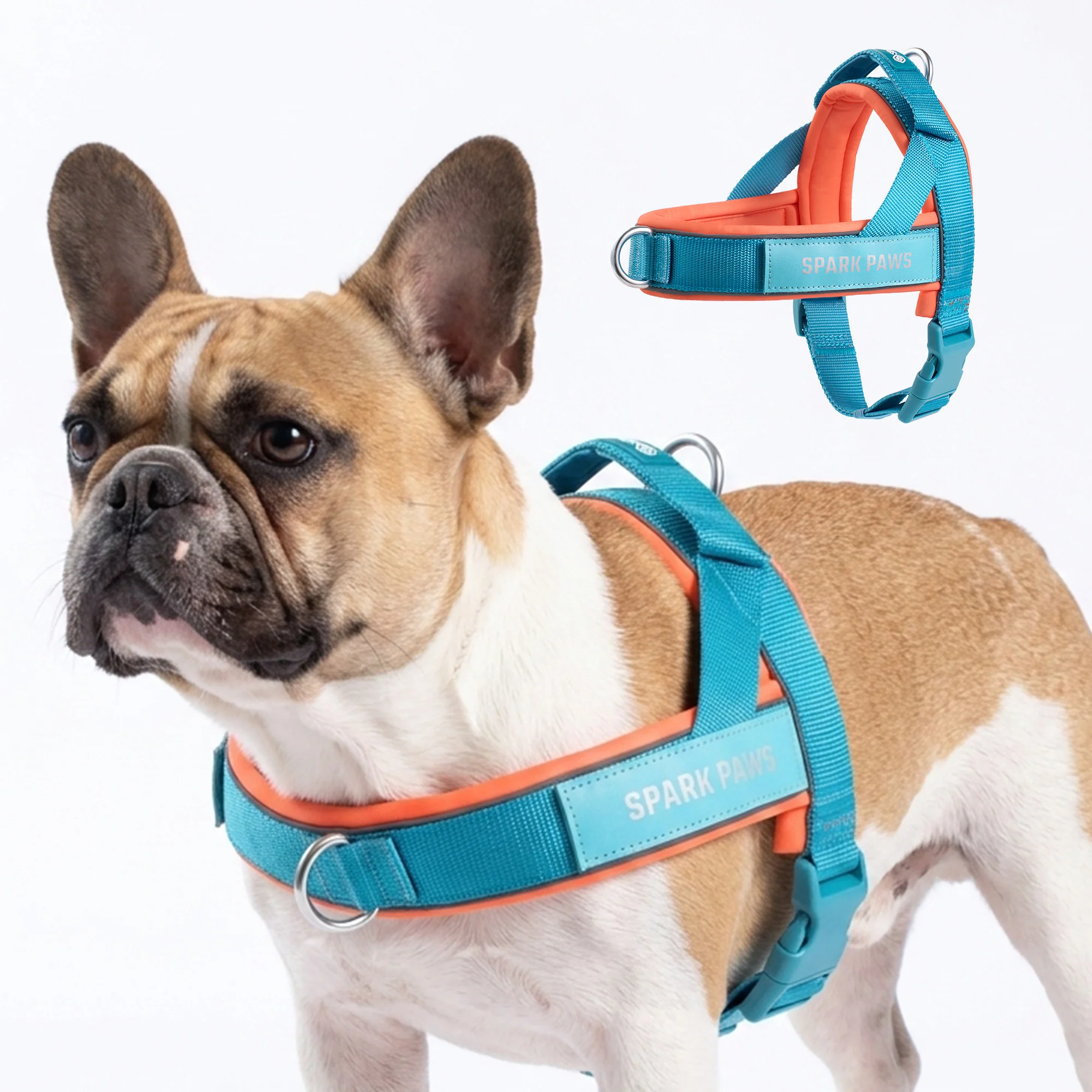 Grab & Go Harness - Image 147