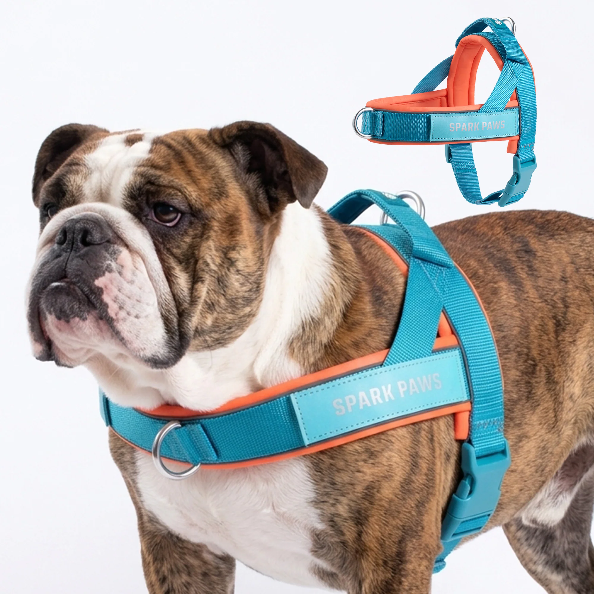 Grab & Go Harness - Image 148
