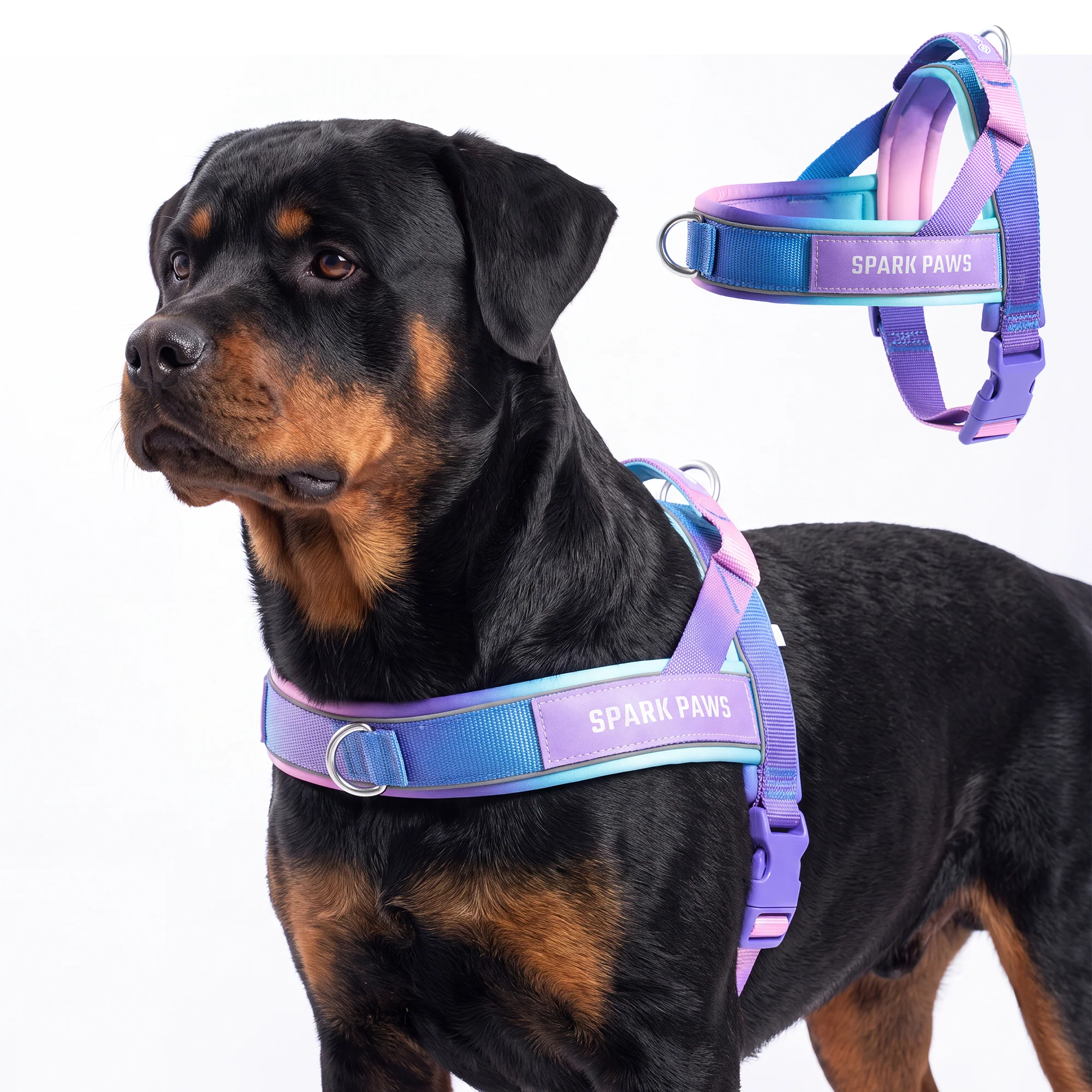 Grab & Go Harness - Image 20