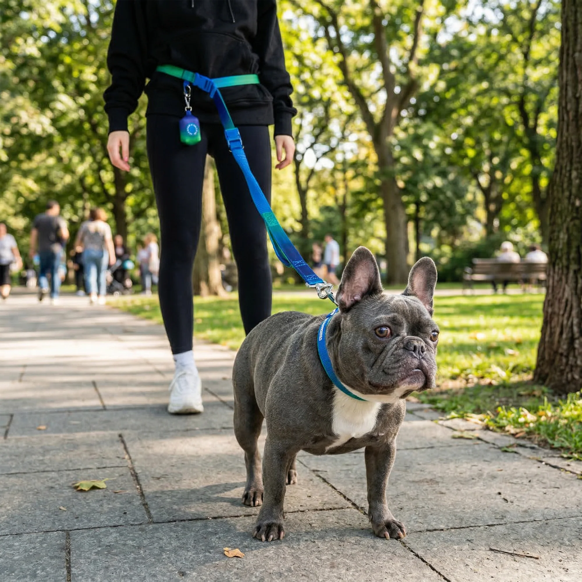 Martingale Collar and Multipurpose Leash Sets - Image 10