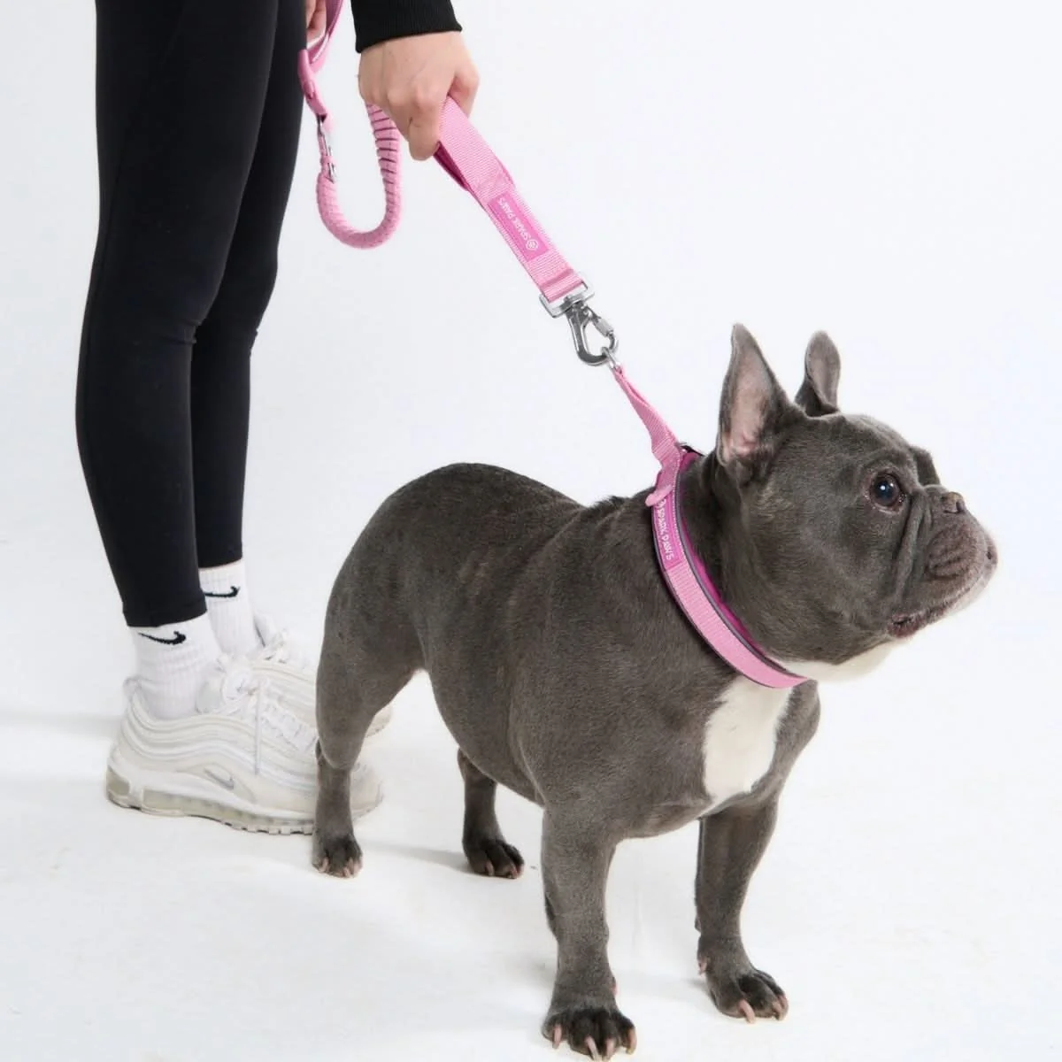 Cushioned Martingale Collar - Pink - Image 4