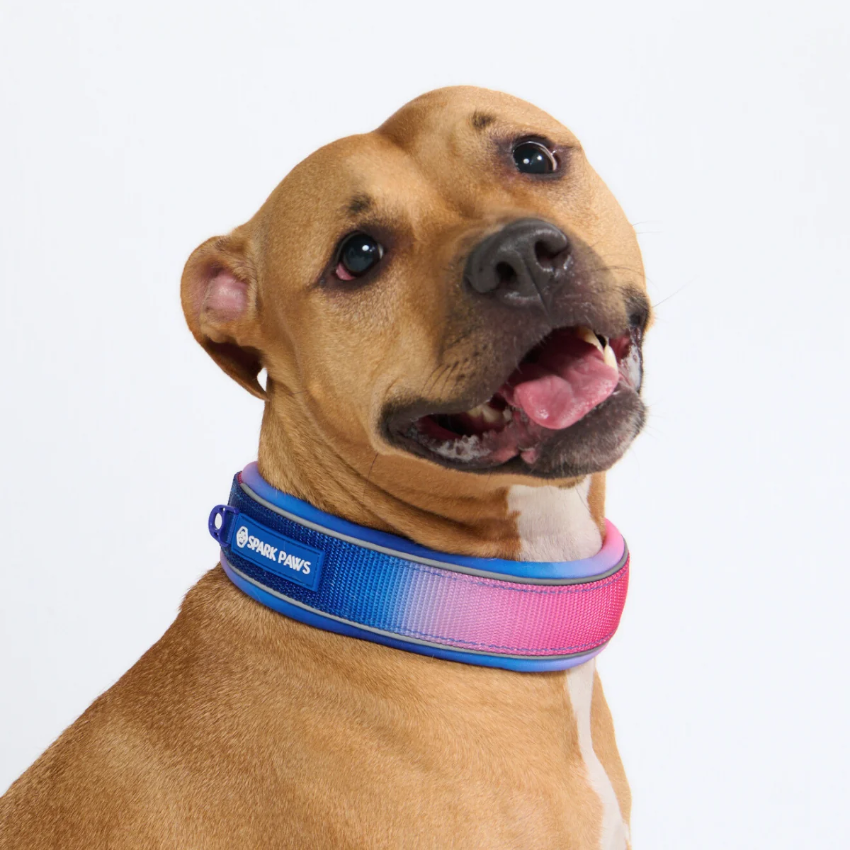 Cushioned Martingale Collar - Snow Cone - Image 8