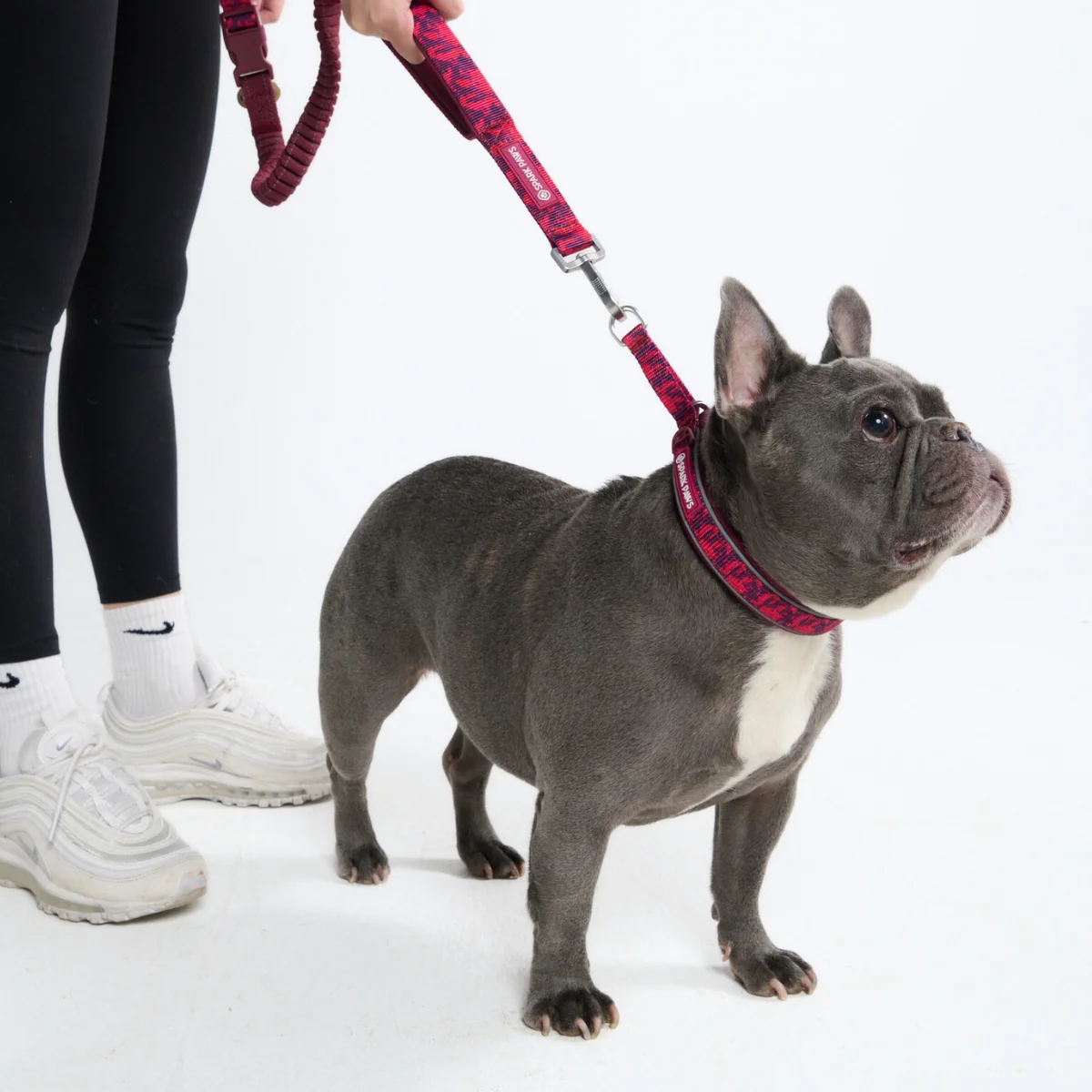 Cushioned Martingale Collars - Image 81