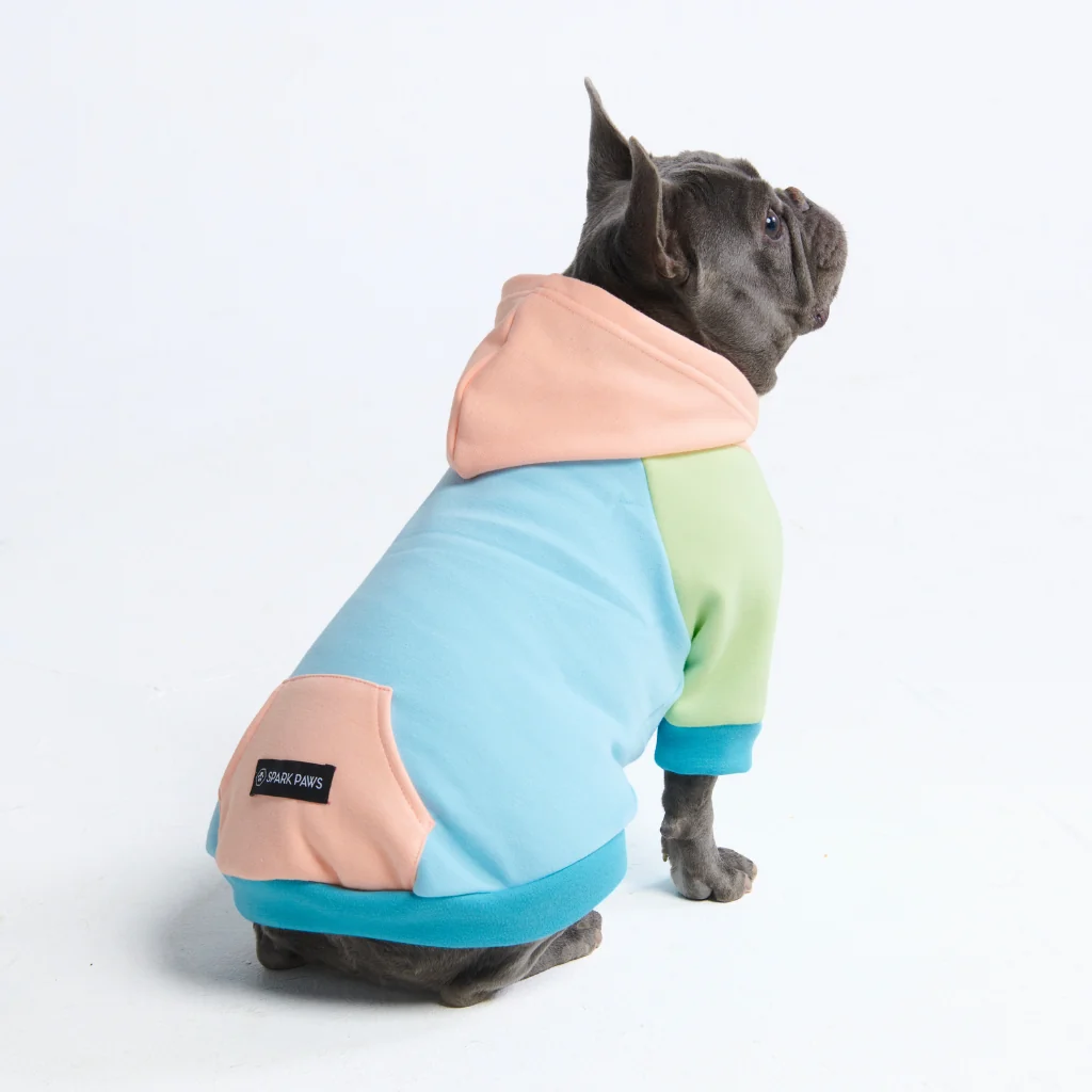 Jelly Bean Dog Hoodie - Image 9