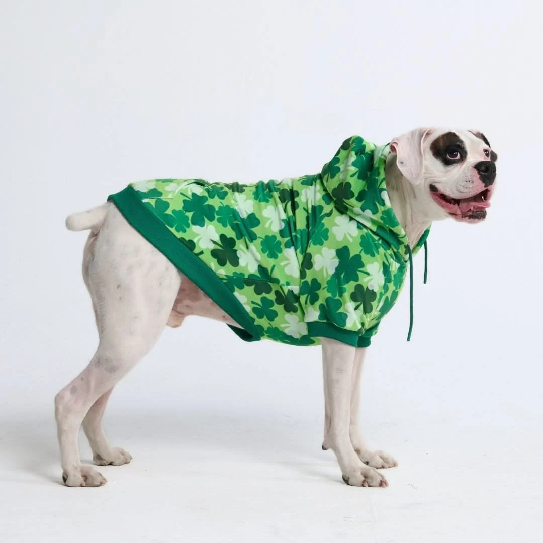 St. Paddy's Human Hoodie - Shamrocks (Limited Edition) - Image 5