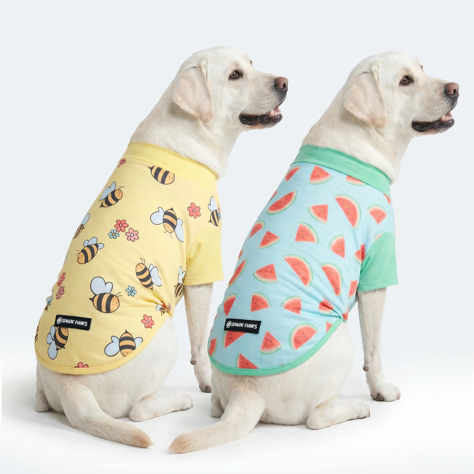 Sunblock Dog T-Shirt 2-pack - Image 33