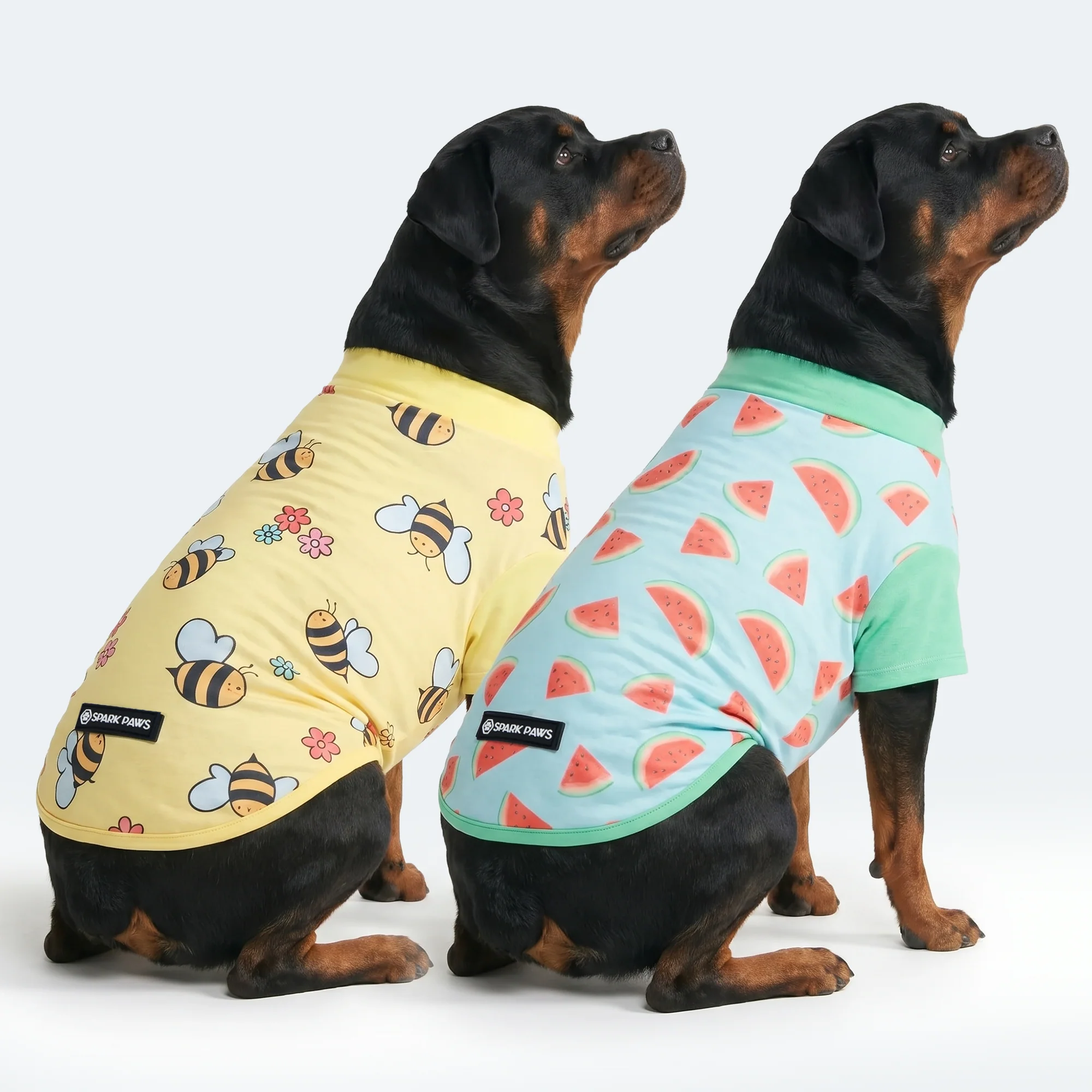 Sunblock Dog T-Shirt 2-pack - Image 34