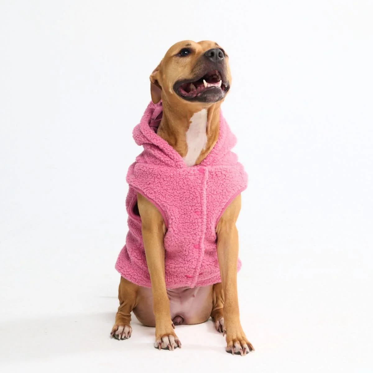 Teddy Sherpa Dog Jacket - Dark Pink - Image 4